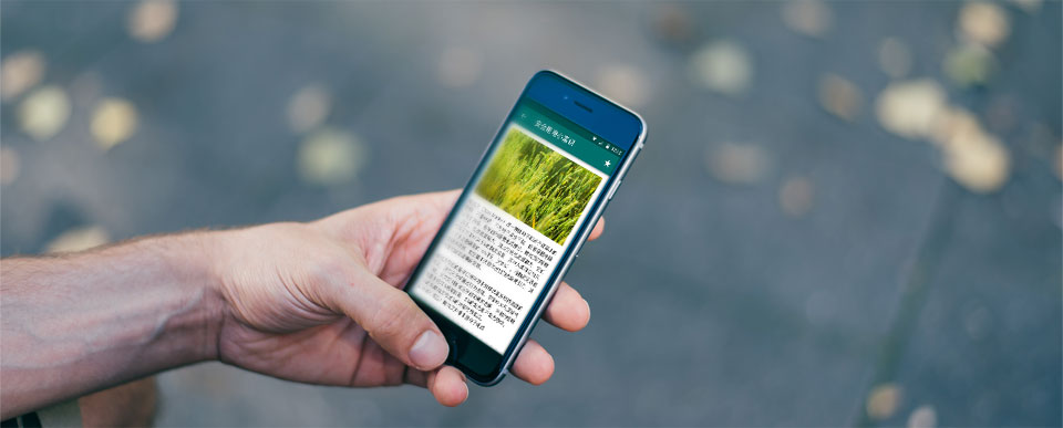 工具类APP